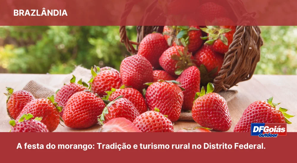 Brazl&acirc;ndia e a festa do morango: tradi&ccedil;&atilde;o e turismo rural no Distrito Federal
